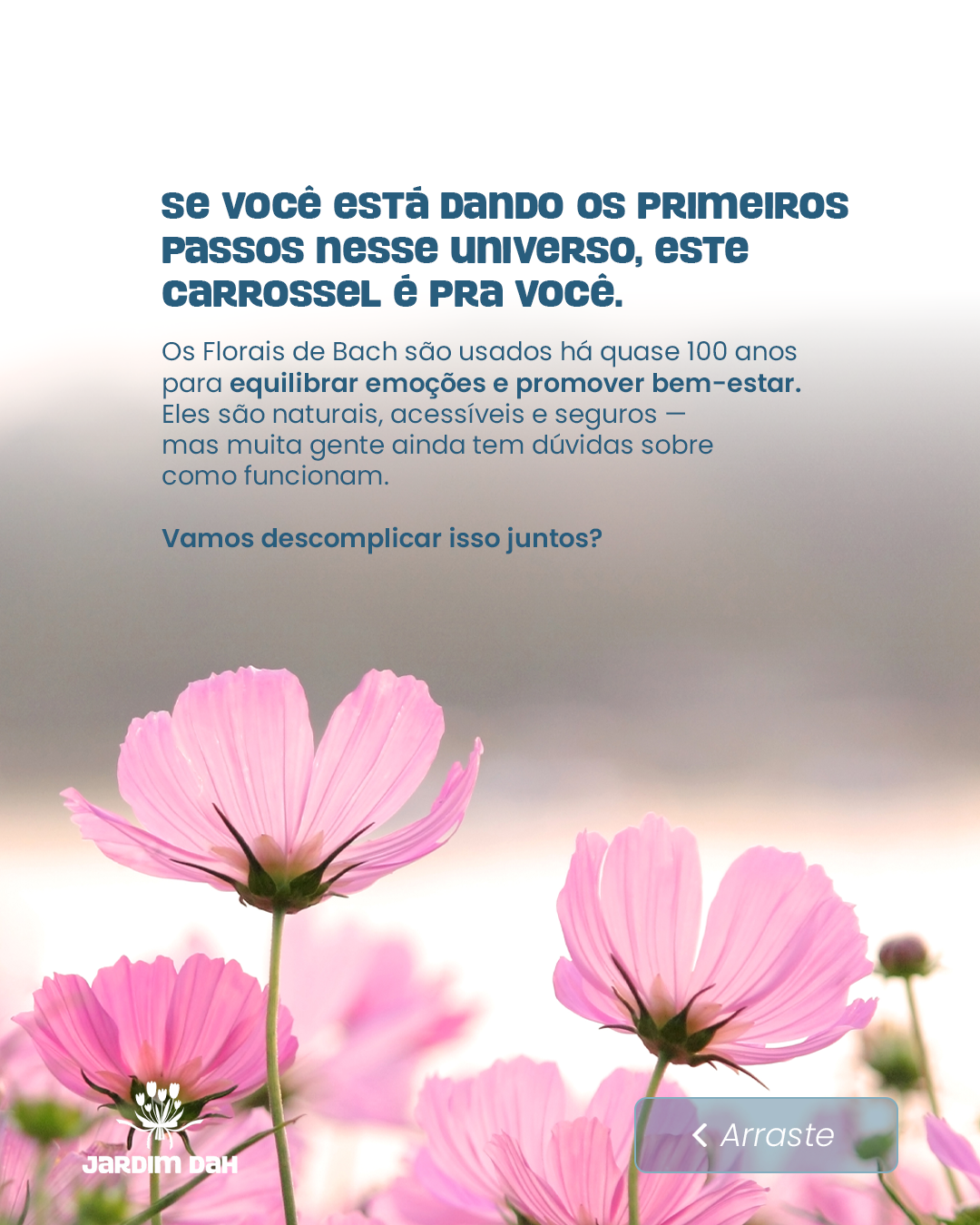 DAINE_POST5_2