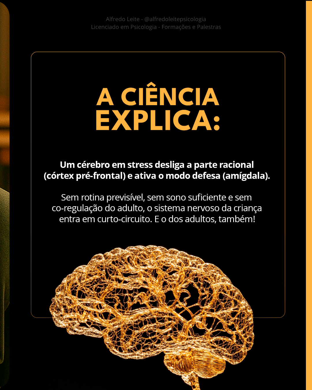 CARROSSEL-1-ALFREDO_01_05